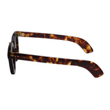 Max Pittion Politician pl-011e s.4 dark tort limited edition 04/25