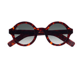 Francois Pinton Achard 03s polarized