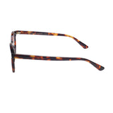 Francois Pinton Collection Andy 2 Zz