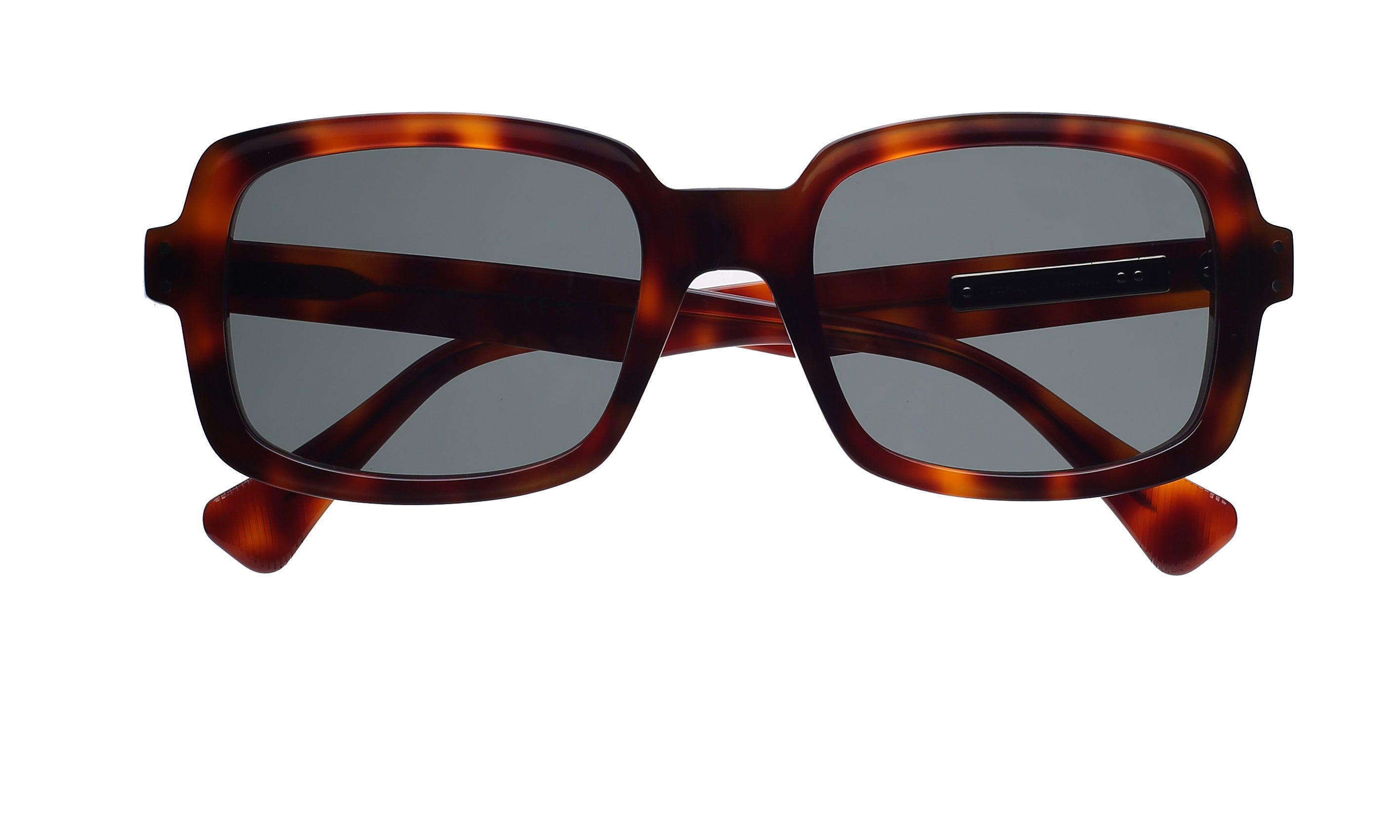 Francois Pinton AT Alain polarized lenses