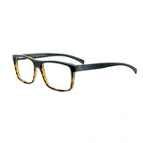 Hoffmann x Frank lo 320 1078-h10 FMF acG m11