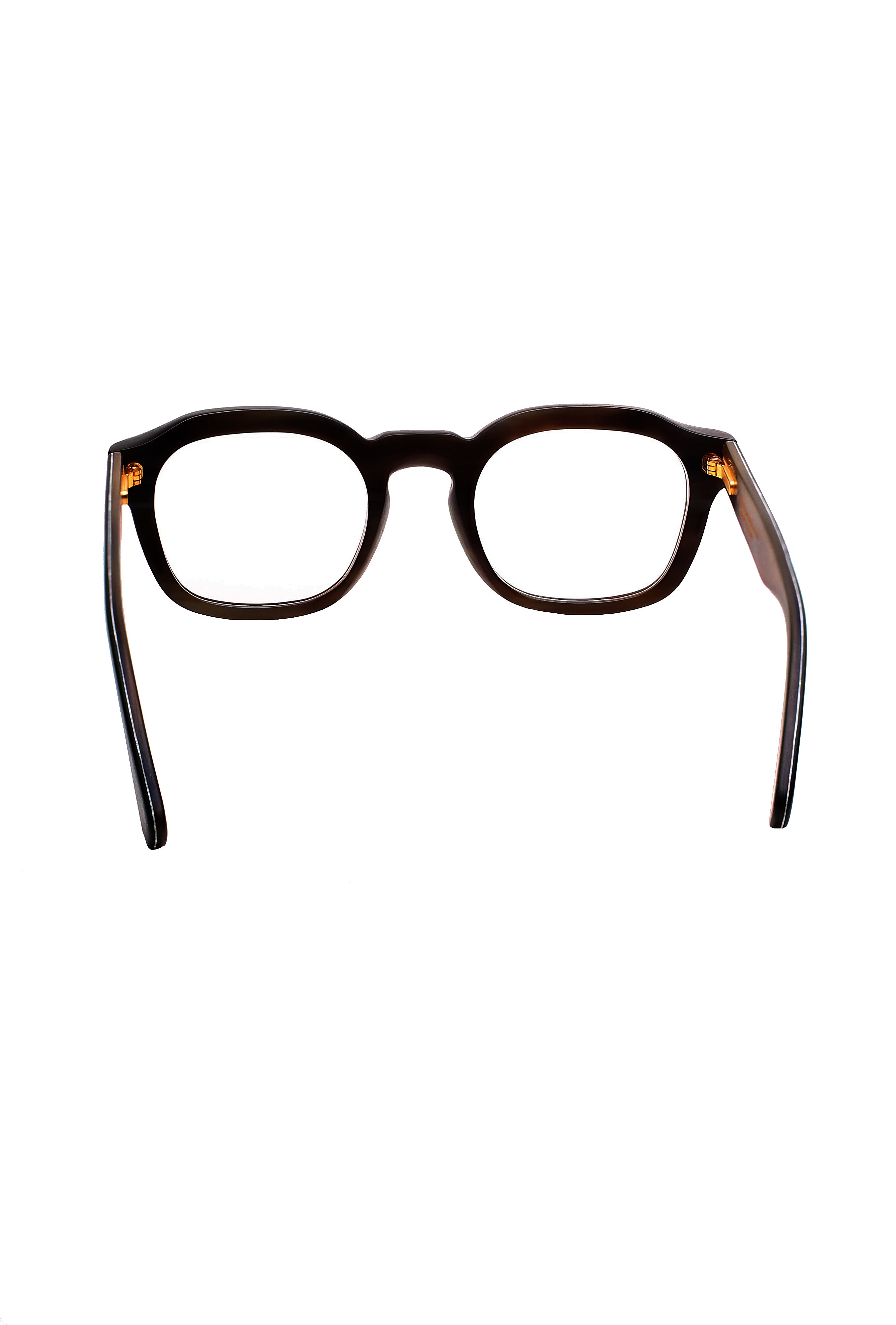 Hoffmann Frank Lo 352 1339 Back