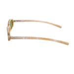 Hoffmann Frank Lo E 161 H55 Lateral