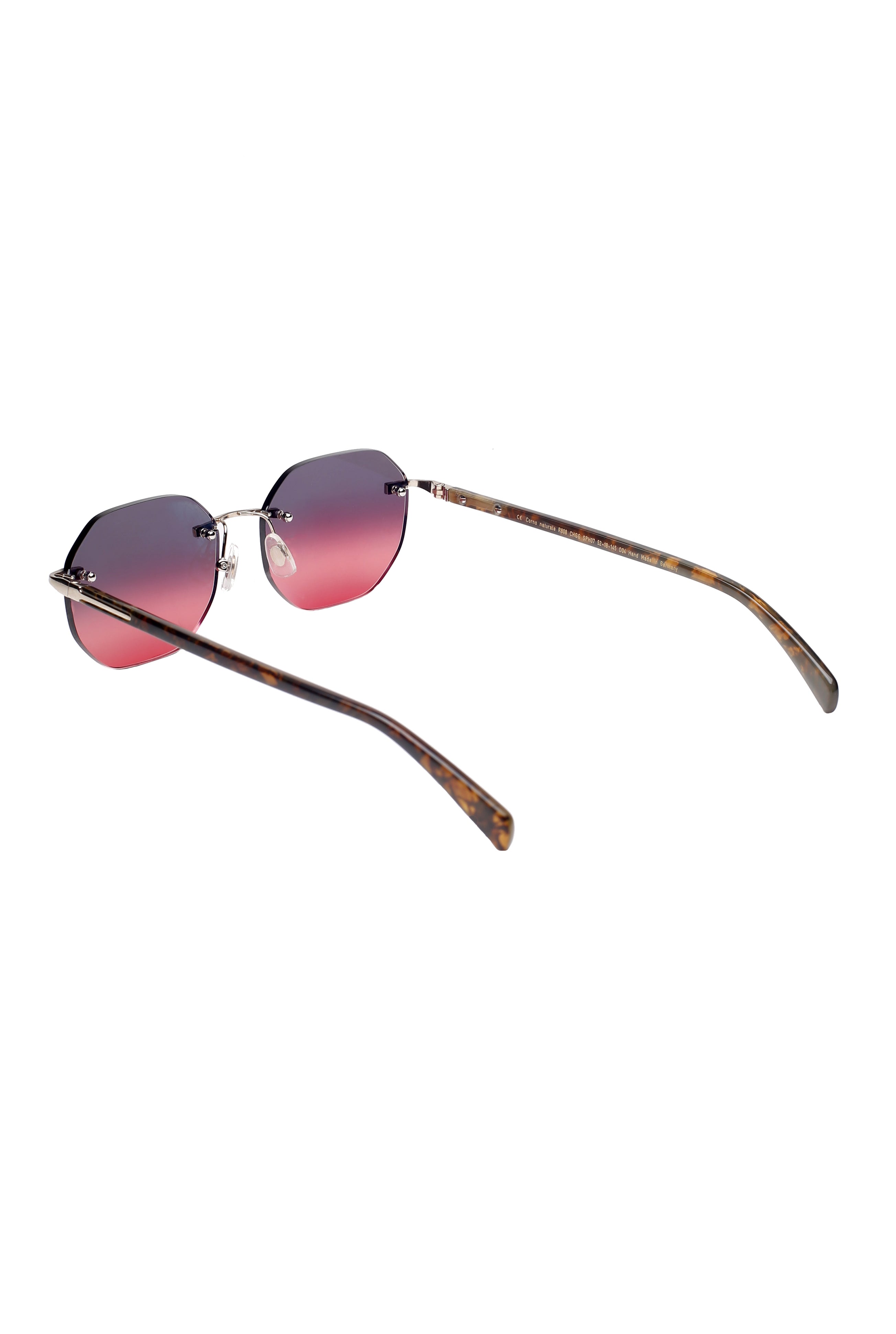 Hoffmann Frank Lo R808 Back